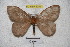  ( - BC-RBP 3259)  @13 [ ] Copyright (2010) Unspecified Research Collection of Ron Brechlin