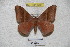 ( - BC-RBP 3263)  @13 [ ] Copyright (2010) Unspecified Research Collection of Ron Brechlin