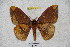  ( - BC-RBP 3291)  @14 [ ] Copyright (2010) Unspecified Research Collection of Ron Brechlin