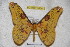  ( - BC-RBP 3434)  @13 [ ] Copyright (2010) Unspecified Research Collection of Ron Brechlin