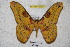  ( - BC-RBP 3435)  @13 [ ] Copyright (2010) Unspecified Research Collection of Ron Brechlin