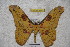  ( - BC-RBP 3436)  @13 [ ] Copyright (2010) Unspecified Research Collection of Ron Brechlin