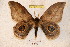  ( - BC-RBP 3365)  @11 [ ] Copyright (2010) Unspecified Research Collection of Ron Brechlin