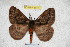  ( - BC-RBP 3877)  @13 [ ] Copyright (2010) Unspecified Research Collection of Ron Brechlin