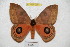  ( - BC-RBP 3991)  @14 [ ] Copyright (2010) Unspecified Research Collection of Ron Brechlin