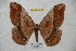  ( - BC-RBP 4023)  @14 [ ] Copyright (2010) Unspecified Research Collection of Ron Brechlin
