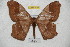  ( - BC-RBP 4024)  @14 [ ] Copyright (2010) Unspecified Research Collection of Ron Brechlin