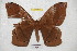  ( - BC-RBP 4025)  @14 [ ] Copyright (2010) Unspecified Research Collection of Ron Brechlin