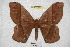  ( - BC-RBP 4026)  @14 [ ] Copyright (2010) Unspecified Research Collection of Ron Brechlin