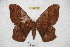  ( - BC-RBP 4028)  @14 [ ] Copyright (2010) Unspecified Research Collection of Ron Brechlin
