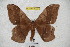  ( - BC-RBP 4029)  @14 [ ] Copyright (2010) Unspecified Research Collection of Ron Brechlin
