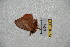  ( - BC-RBP 4030)  @12 [ ] Copyright (2010) Unspecified Research Collection of Ron Brechlin