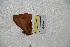 ( - BC-RBP 4031)  @11 [ ] Copyright (2010) Unspecified Research Collection of Ron Brechlin