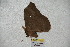  ( - BC-RBP 4035)  @11 [ ] Copyright (2010) Unspecified Research Collection of Ron Brechlin