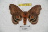  ( - BC-RBP 4047)  @13 [ ] Copyright (2010) Unspecified Research Collection of Ron Brechlin