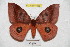  ( - BC-RBP 4066)  @14 [ ] Copyright (2010) Unspecified Research Collection of Ron Brechlin