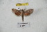  ( - BC-RBP 4075)  @12 [ ] Copyright (2010) Unspecified Research Collection of Ron Brechlin