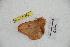 ( - BC-RBP 4097)  @12 [ ] Copyright (2010) Unspecified Research Collection of Ron Brechlin