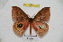  ( - BC-RBP 4128)  @13 [ ] Copyright (2010) Unspecified Research Collection of Ron Brechlin