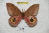  ( - BC-RBP 4144)  @13 [ ] Copyright (2010) Unspecified Research Collection of Ron Brechlin