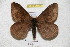  ( - BC-RBP 4155)  @13 [ ] Copyright (2010) Unspecified Research Collection of Ron Brechlin