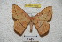 ( - BC-RBP 4216)  @13 [ ] Copyright (2010) Unspecified Research Collection of Ron Brechlin