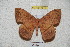  ( - BC-RBP 4219)  @13 [ ] Copyright (2010) Unspecified Research Collection of Ron Brechlin