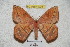  ( - BC-RBP 4221)  @11 [ ] Copyright (2010) Unspecified Research Collection of Ron Brechlin