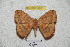  ( - BC-RBP 4261)  @13 [ ] Copyright (2010) Unspecified Research Collection of Ron Brechlin