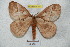  ( - BC-RBP 4301)  @14 [ ] Copyright (2010) Unspecified Research Collection of Ron Brechlin