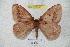  ( - BC-RBP 4311)  @14 [ ] Copyright (2010) Unspecified Research Collection of Ron Brechlin