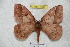  ( - BC-RBP 4312)  @14 [ ] Copyright (2010) Unspecified Research Collection of Ron Brechlin