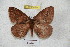  ( - BC-RBP 4314)  @14 [ ] Copyright (2010) Unspecified Research Collection of Ron Brechlin