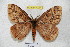  ( - BC-RBP 4327)  @14 [ ] Copyright (2010) Unspecified Research Collection of Ron Brechlin