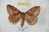  ( - BC-RBP 4330)  @14 [ ] Copyright (2010) Unspecified Research Collection of Ron Brechlin