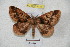  ( - BC-RBP 4331)  @13 [ ] Copyright (2010) Unspecified Research Collection of Ron Brechlin