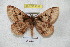  ( - BC-RBP 4332)  @13 [ ] Copyright (2010) Unspecified Research Collection of Ron Brechlin