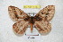  ( - BC-RBP 4333)  @13 [ ] Copyright (2010) Unspecified Research Collection of Ron Brechlin
