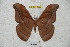  ( - BC-RBP 4360)  @13 [ ] Copyright (2010) Unspecified Research Collection of Ron Brechlin