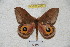  ( - BC-RBP 4374)  @13 [ ] Copyright (2010) Unspecified Research Collection of Ron Brechlin