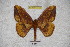  ( - BC-RBP 3410)  @13 [ ] Copyright (2010) Unspecified Research Collection of Ron Brechlin