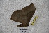  ( - BC-RBP 3429)  @11 [ ] Copyright (2010) Unspecified Research Collection of Ron Brechlin