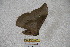  ( - BC-RBP 3430)  @11 [ ] Copyright (2010) Unspecified Research Collection of Ron Brechlin