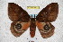  ( - BC-RBP 3500)  @13 [ ] Copyright (2010) Unspecified Research Collection of Ron Brechlin