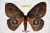  ( - BC-RBP 3502)  @12 [ ] Copyright (2010) Unspecified Research Collection of Ron Brechlin