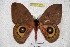  ( - BC-RBP 3556)  @14 [ ] Copyright (2010) Unspecified Research Collection of Ron Brechlin