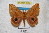  ( - BC-RBP 3576)  @14 [ ] Copyright (2010) Unspecified Research Collection of Ron Brechlin