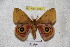  ( - BC-RBP 3584)  @13 [ ] Copyright (2010) Unspecified Research Collection of Ron Brechlin