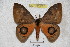  ( - BC-RBP 3592)  @11 [ ] Copyright (2010) Unspecified Research Collection of Ron Brechlin