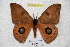  ( - BC-RBP 3610)  @14 [ ] Copyright (2010) Unspecified Research Collection of Ron Brechlin